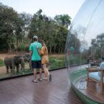 anantara golden triangle review