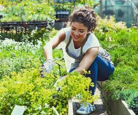 Woman gardening