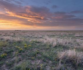may ranch grassland