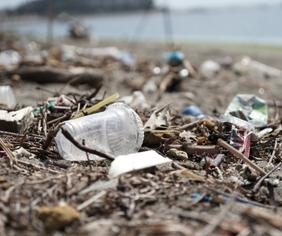 litter on beach