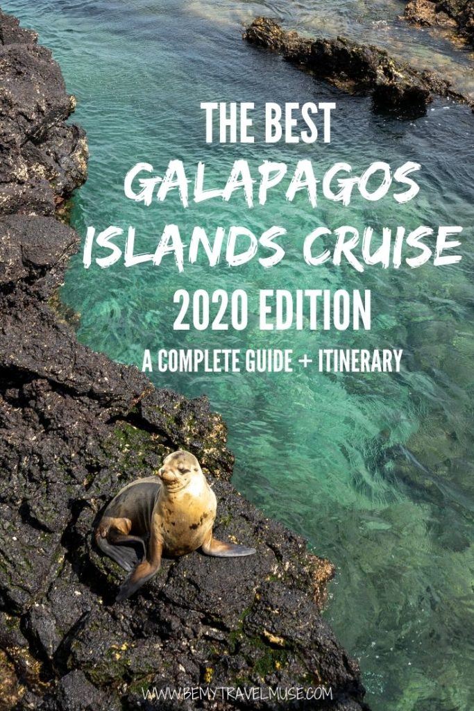 An awesome guide to the best Galapagos islands cruise in 2020, with everything you need to know about booking the right boat, and a complete itinerary