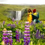 holland america cruise iceland