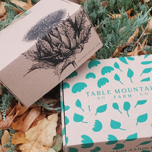kraft shipping box with print