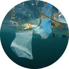 marine plastic pollution