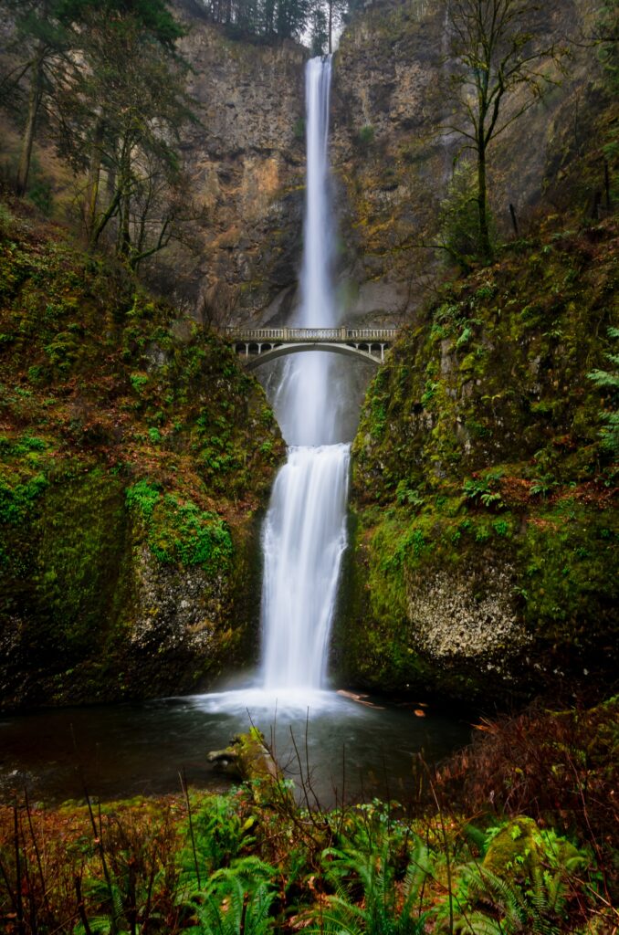 A waterfall in the Columbia River Gorge National Scenic Area, Oregon.